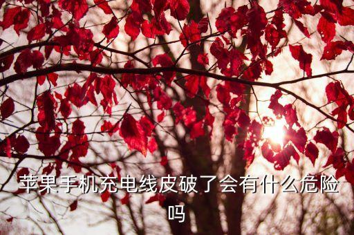 蘋果手機(jī)充電線皮破了會有什么危險(xiǎn)嗎