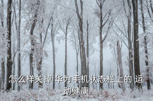華為關(guān)閉運(yùn)動(dòng)數(shù)據(jù),華為運(yùn)動(dòng)數(shù)據(jù)來(lái)源怎么關(guān)閉一臺(tái)