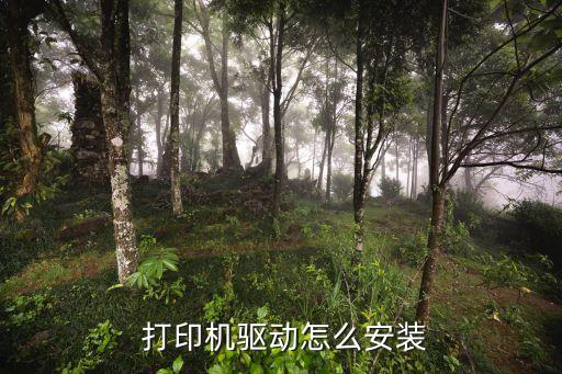  打印機驅動怎么安裝