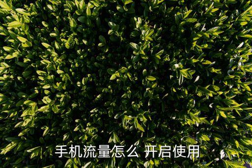 手機(jī)版w8系統(tǒng)怎么開啟移動數(shù)據(jù)