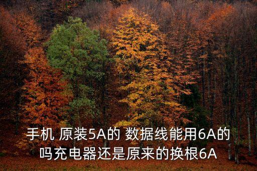手機 原裝5A的 數(shù)據(jù)線能用6A的嗎充電器還是原來的換根6A