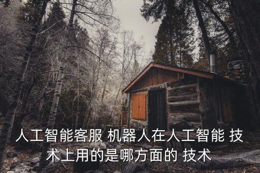 人工智能客服 機(jī)器人在人工智能 技術(shù)上用的是哪方面的 技術(shù)