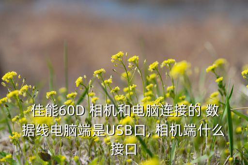 佳能單反相機數(shù)據(jù)線