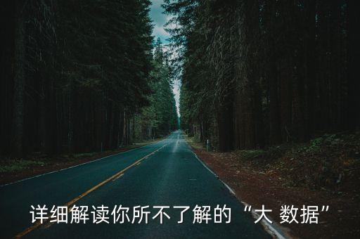 詳細(xì)解讀你所不了解的“大 數(shù)據(jù)”