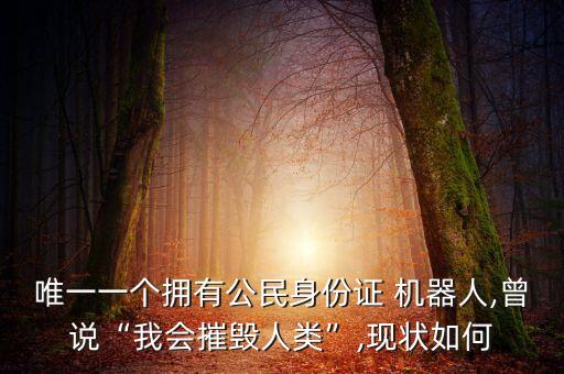 唯一一個擁有公民身份證 機器人,曾說“我會摧毀人類”,現(xiàn)狀如何