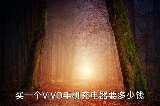 vivo數(shù)據(jù)線是價格多少