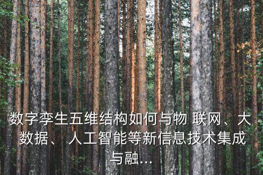 數(shù)字孿生五維結(jié)構(gòu)如何與物 聯(lián)網(wǎng)、大 數(shù)據(jù)、 人工智能等新信息技術(shù)集成與融...