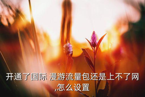 開通了國際 漫游流量包還是上不了網(wǎng),怎么設(shè)置