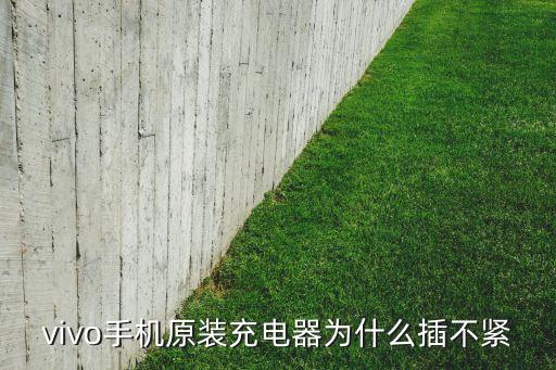 vivo手機(jī)原裝充電器為什么插不緊