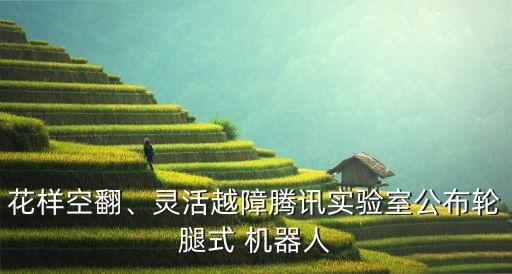 機(jī)器人的姿態(tài)是什么樣的,十年后的機(jī)器人會(huì)是什么樣?