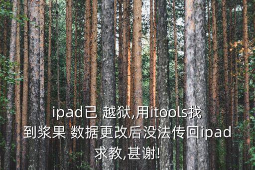 ipad已 越獄,用itools找到漿果 數(shù)據(jù)更改后沒法傳回ipad求教,甚謝!