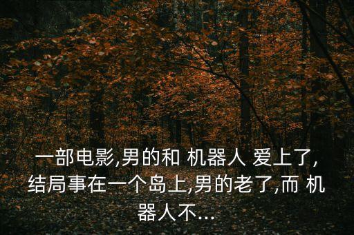 一部電影,男的和 機(jī)器人 愛上了,結(jié)局事在一個(gè)島上,男的老了,而 機(jī)器人不...