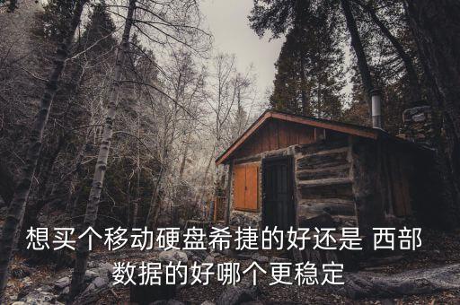 西部數(shù)據(jù)空間怎么樣