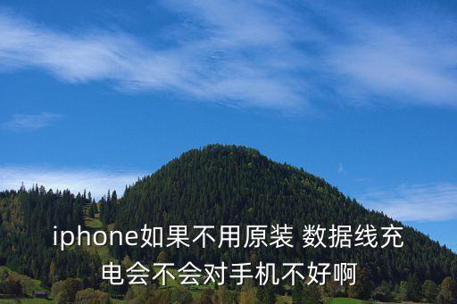 蘋果亂用數(shù)據(jù)線,蘋果13數(shù)據(jù)線怎么變了