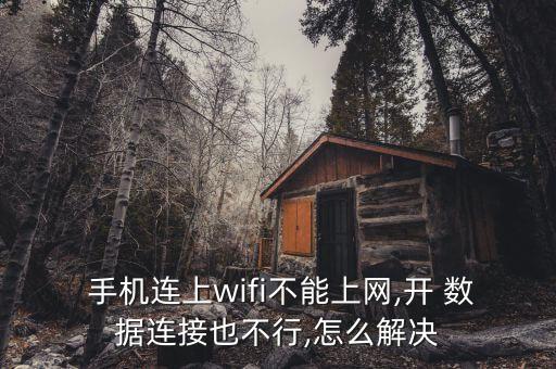  手機(jī)連上wifi不能上網(wǎng),開(kāi) 數(shù)據(jù)連接也不行,怎么解決