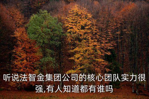 聽(tīng)說(shuō)法智金集團(tuán)公司的核心團(tuán)隊(duì)實(shí)力很強(qiáng),有人知道都有誰(shuí)嗎