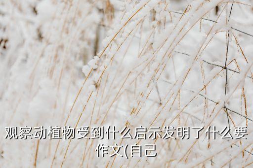 制作竹子機(jī)器人方法,竹子羽毛的fm機(jī)器人