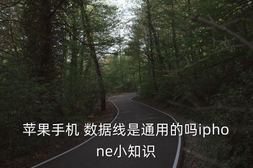 蘋果手機(jī) 數(shù)據(jù)線是通用的嗎iphone小知識