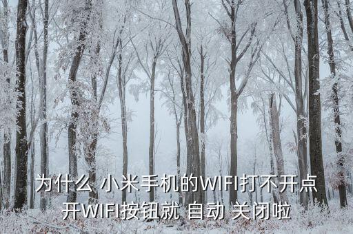 小米6wifi自動(dòng)關(guān)閉
