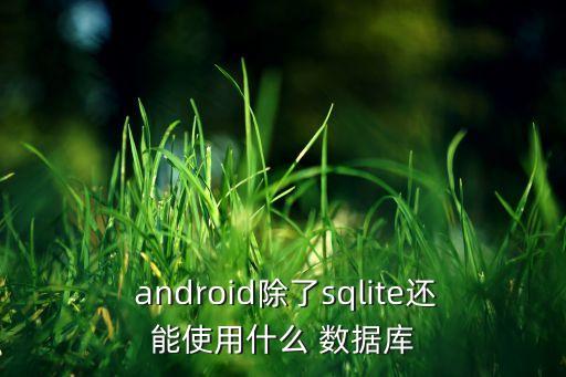  android除了sqlite還能使用什么 數(shù)據(jù)庫