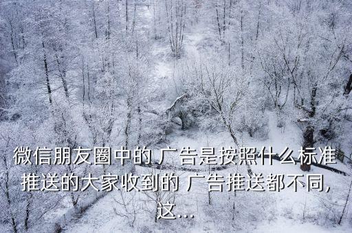 朋友圈廣告數(shù)據(jù)反饋