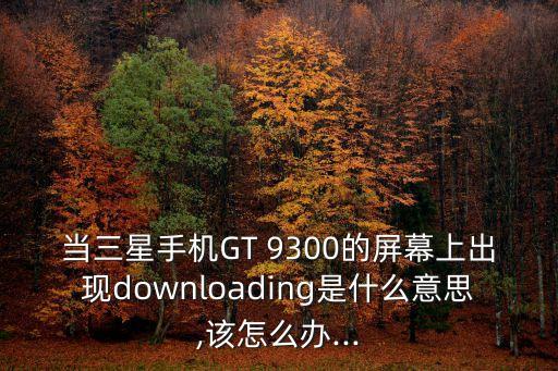 當(dāng)三星手機(jī)GT 9300的屏幕上出現(xiàn)downloading是什么意思,該怎么辦...