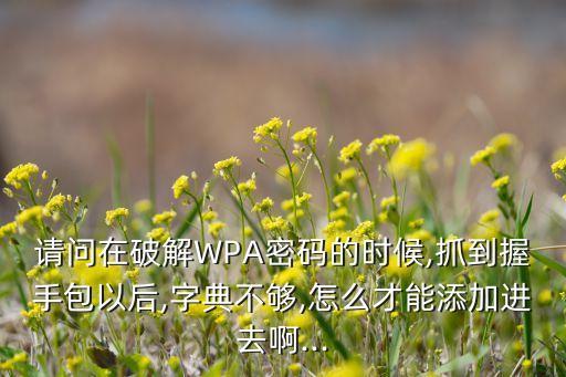 請(qǐng)問(wèn)在破解WPA密碼的時(shí)候,抓到握手包以后,字典不夠,怎么才能添加進(jìn)去啊...
