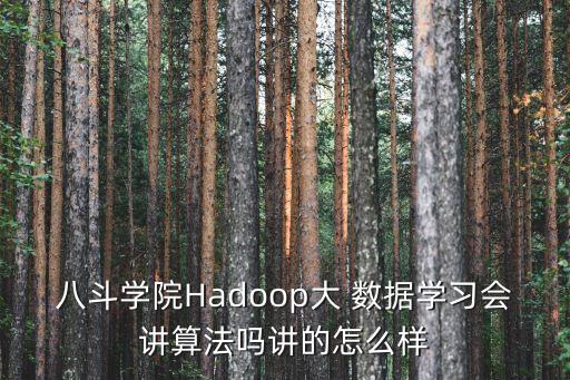 八斗學院Hadoop大 數(shù)據(jù)學習會講算法嗎講的怎么樣