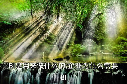 bi 數(shù)據(jù)分析 作用,bi數(shù)據(jù)分析工具有哪些