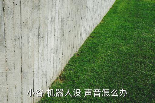 小谷 機器人沒 聲音怎么辦