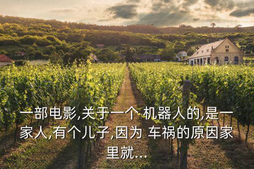 一部電影,關于一個 機器人的,是一家人,有個兒子,因為 車禍的原因家里就...