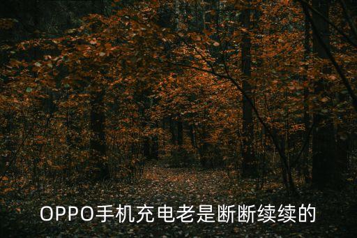 oppo數(shù)據(jù)線老壞,數(shù)據(jù)線老壞是什么原因