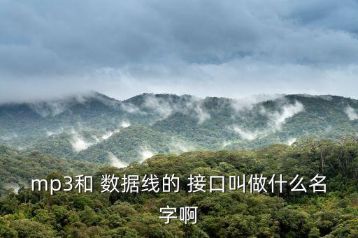 數(shù)據(jù)線接口叫什么,老式mp3數(shù)據(jù)線接口叫什么