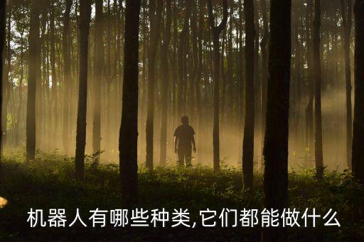 我要看一個(gè)機(jī)器人挖機(jī)