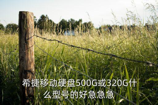  希捷移動硬盤500G或320G什么型號的好急急急