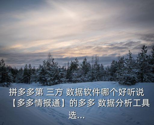 拼多多第 三方 數(shù)據(jù)軟件哪個好聽說【多多情報通】的多多 數(shù)據(jù)分析工具選...