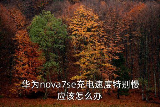 華為測(cè)試數(shù)據(jù)線3.1,華為原裝數(shù)據(jù)線上NB或還是LJ