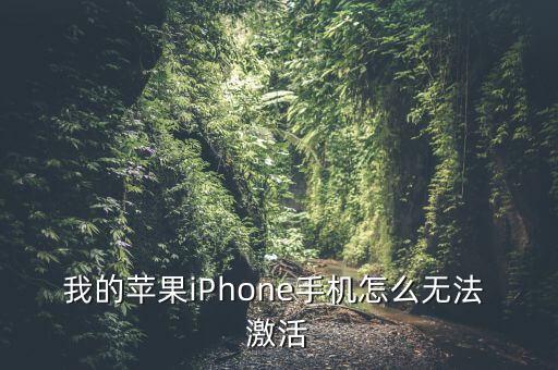我的蘋果iPhone手機(jī)怎么無法 激活