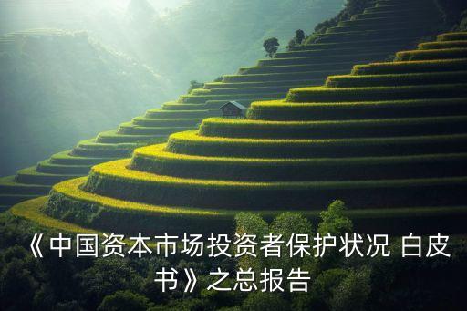 《中國資本市場投資者保護(hù)狀況 白皮書》之總報告