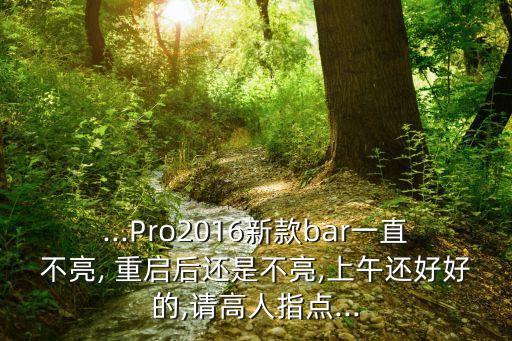 ...Pro2016新款bar一直不亮, 重啟后還是不亮,上午還好好的,請高人指點(diǎn)...