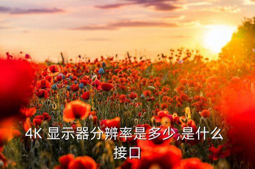 4K 顯示器分辨率是多少,是什么 接口