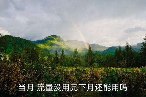當(dāng)月 流量沒用完下月還能用嗎