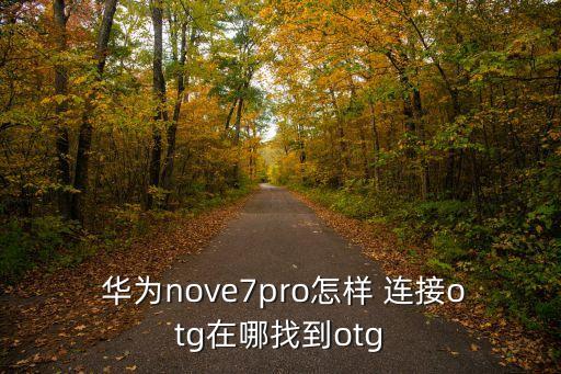華為數(shù)據(jù)連接在哪,華為手機(jī)打開(kāi)數(shù)據(jù)連接無(wú)法上網(wǎng)