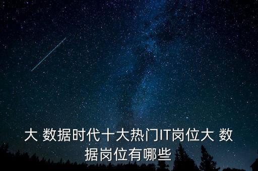 大 數(shù)據(jù)時(shí)代十大熱門IT崗位大 數(shù)據(jù)崗位有哪些
