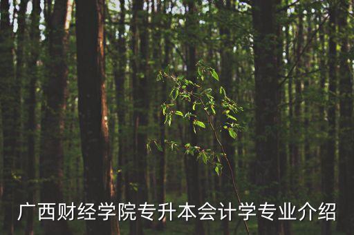 廣西財經(jīng)學院專升本會計學專業(yè)介紹