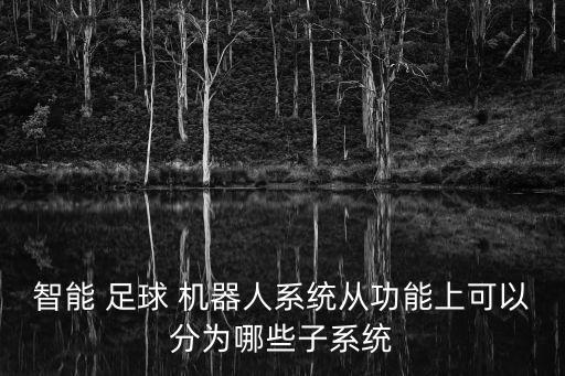 智能 足球 機(jī)器人系統(tǒng)從功能上可以分為哪些子系統(tǒng)