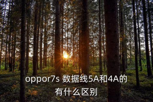 oppor7s 數(shù)據(jù)線5A和4A的有什么區(qū)別