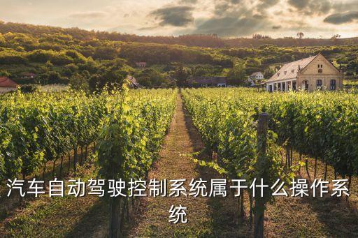 汽車自動(dòng)駕駛控制系統(tǒng)屬于什么操作系統(tǒng)