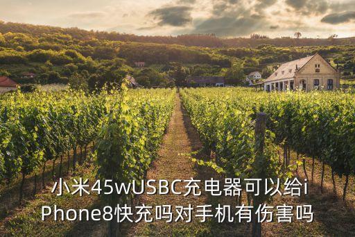 小米u(yù)sb-c數(shù)據(jù)線,小米數(shù)據(jù)線真?zhèn)尾樵? /></a><a href=