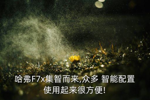 哈弗F7x集智而來(lái),眾多 智能配置使用起來(lái)很方便!